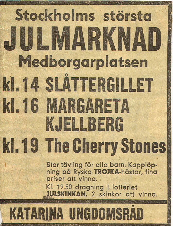 katarina ungdomsråd